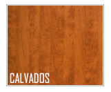 Drzwi wewnętrzne DRE RIVIA TOP 10