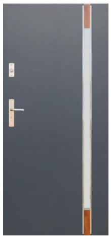 Drzwi Wikęd Future Inox model FI04C