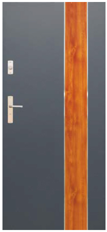 Drzwi WIKĘD Future Inox FI02B