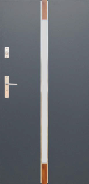 Drzwi WIKĘD Future Inox - model FI06A