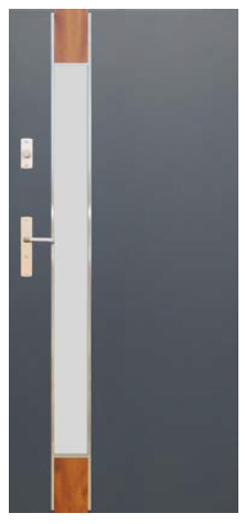 Drzwi WIKĘD Future Inox - model FI06B