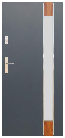 Drzwi WIKĘD Future Inox - model FI06C