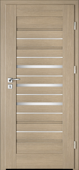 Drzwi wewnętrzne INTENSO LION STEEL W-2