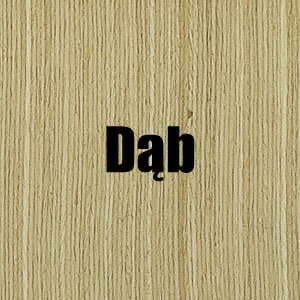 Widok drzwi PORTA Natura LINE