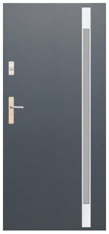 Drzwi Future Inox FI05C