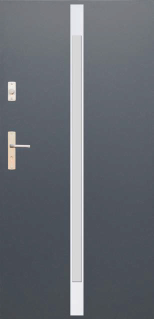 Drzwi Wikęd Future Inox - Model FI05A