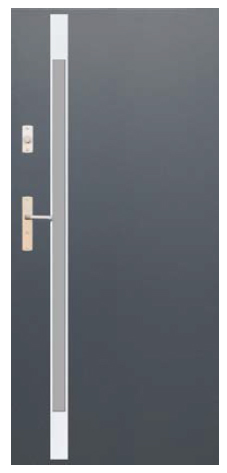 Drzwi Wikęd Future Inox - Model FI05B