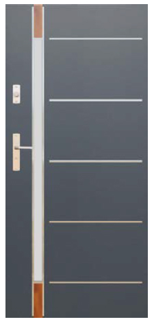 Drzwi WIKĘD Future Inox model FI04D