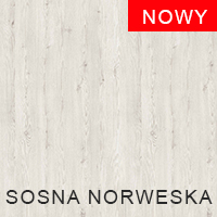 Sosna Norweska