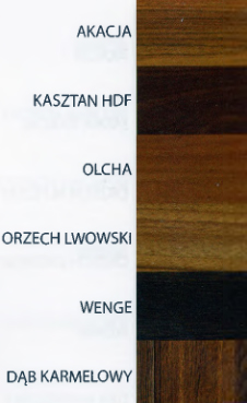 Drzwi wewnętrzne Ever House RIO - szkło satyna